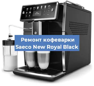 Декальцинация   кофемашины Saeco New Royal Black в Ростове-на-Дону